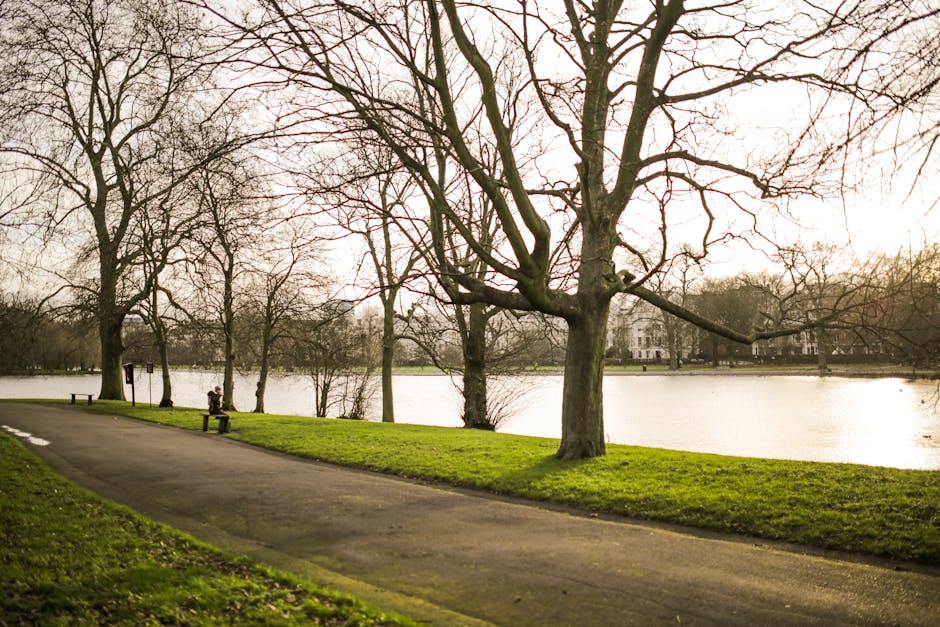 A residential street lined with tall, mature trees on both sides, forming a canopy overhead with their branches and leaves. The tarmac pathway runs through the centre, with a few pedestrians walking along it and others sitting on benches placed on the grassy verge beside the pavement. In the background, there are some houses and buildings partially visible through the trees. The scene is bathed in natural daylight, casting shadows from the trees onto the pathway. This setting exemplifies a peaceful neighbourhood, suitable for home relocation or moving logistics, in which outdoor spaces and tree-lined streets are prominent features. Man with Van Eden Park may assist with the transportation of furniture and packing materials through such environments as part of their removals services, ensuring a smooth moving process from inner properties to transport vehicles, and ultimately to new locations.