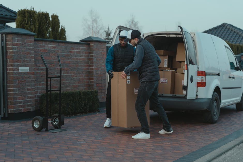 Two men are engaged in a home relocation process outside a residential property, unloading packed cardboard boxes from a white van with its rear doors open. One of the men, wearing a blue and black ja